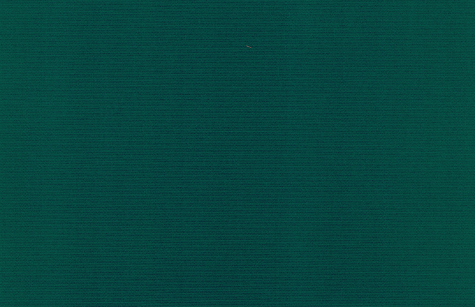 Toile de store Sattler - 314 004 - Vert foncé