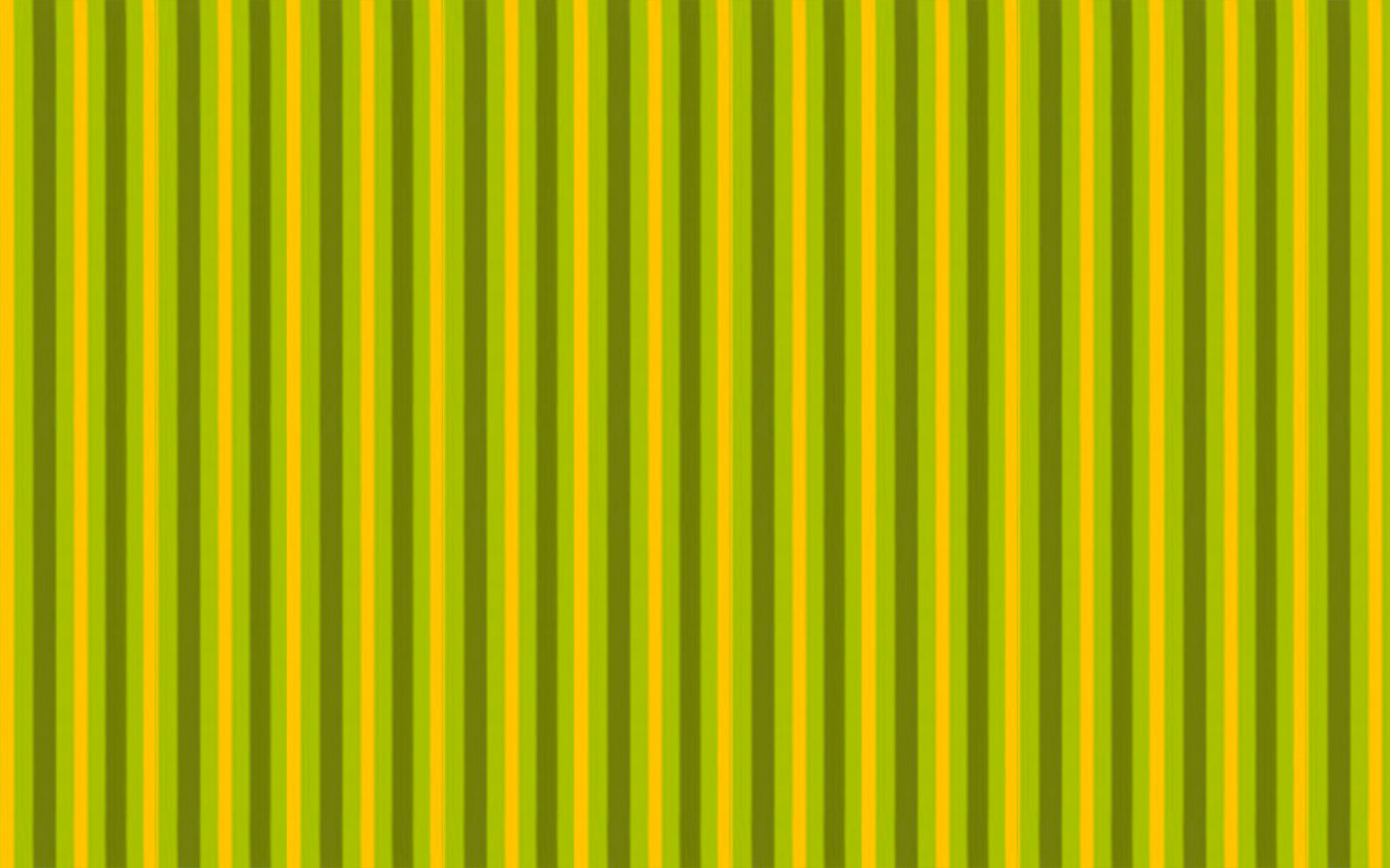 Changer votre toile de store banne Latim  654 A