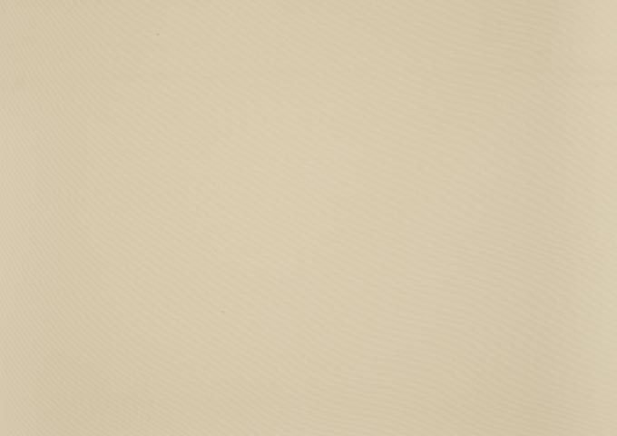 Toile de store Dickson Orchestra Max - 7548 IVOIRE - Beige