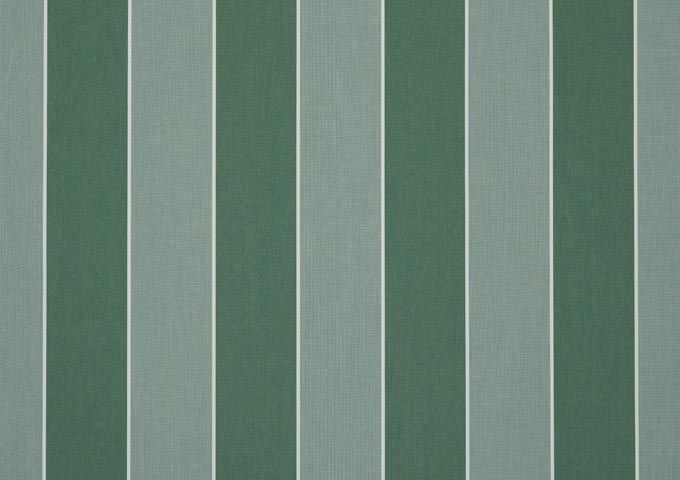 Toile de store Dickson Orchestra - D302 SIENNE GREEN - Vert clair