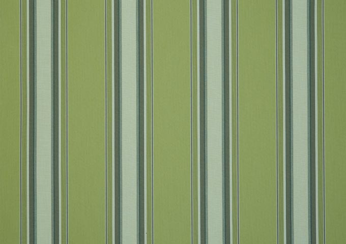 Toile de store Dickson Orchestra - D310 CHICAGO GREEN - Vert clair