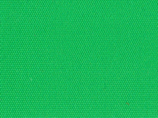 Toile de store Latim - LATIMACRYL A186 VERT VIF - Vert clair